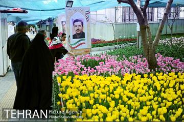 پیاده راه لاله مادران 43