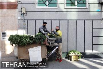 شهرنگار؛ محله بریانک 4