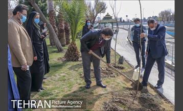 جشن نهال هاى کوچک شهر و تخم مرغ هاى رنگى در منطقه ٩