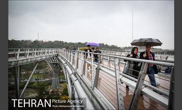 بارش باران بهاری در تهران 26