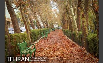 سمفونی برگ های پاییزی 19