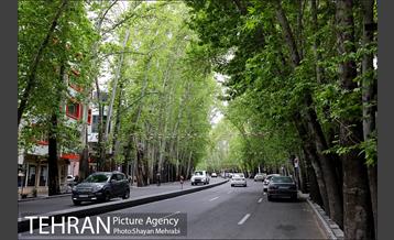 ولیعصر(عج)؛ خیابانی به درازای خاورمیانه 14