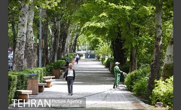 بوستان نیاوران 2