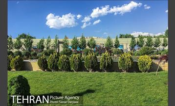 بوستان مینیاتور 4