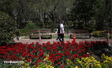 باغ ایرانی میزبان لاله‌ها 43