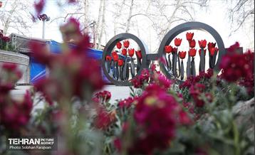 استقبال از بهار - ۳ 9