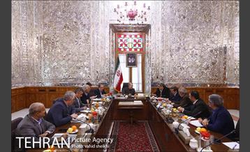 دیدار شهرداران کلانشهرهای ایران با علی لاریجانی رییس مجلس شورای اسلامی 19