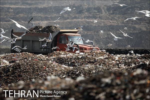 بازدید پذیرفته شدگان در آزمون دستیاران مدیرشهرداری تهران از مرکز آرادکوه 34