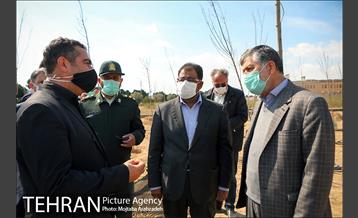 کاشت درخت میثاق در حرم امام خمینی 16