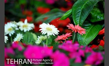 نمایشگاه بین المللی گل و گیاه 33