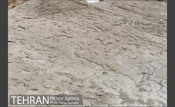 کوه های روستای وردیج 14