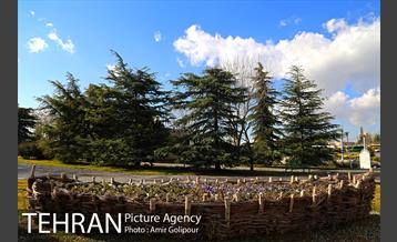 هوای پاک تهران 7