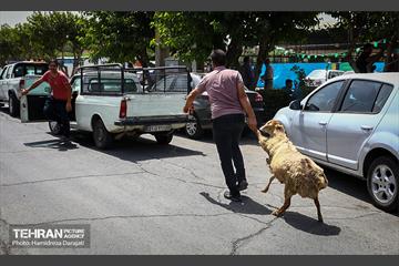 غم هایتان، قربانی شادی هایتان 35