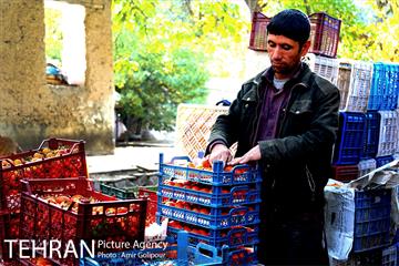 گذری در کوچه پس کوچه های محله کن‎ 21