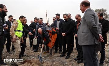 کاشت 2000 نهال مثمر در بوستان جنگلی چیتگر 28