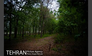 باغ گیاه‌شناسی ملی ایران 28