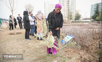 آئین روز درختکاری با حضور سفیران و نمایندگان کشورهای خارجی 10