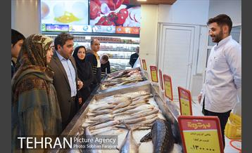 بازدید اعضای شورای شهر از فروشگاه شهروند  10