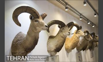 دهمین تور عکاسی آژانس عکس تهران از مکان های شاخص منطقه یک 8