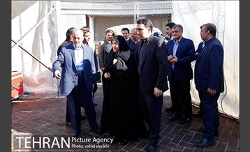 مراسم ساماندهی و احیای درختان چنار خیابان ولیعصر(عج) 1