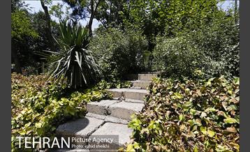 بوستان شفق 22