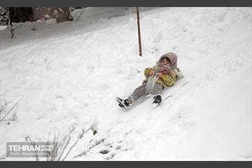 بارش برف در تهران 14