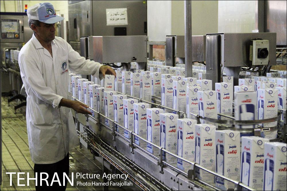خط تولید شرکت صنایع شیر ایران 13