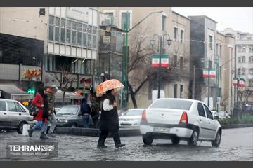 بارش باران زمستانی در تهران 3