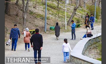 بوستان طالقانی 7