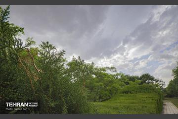 طبیعت بهاری در باغ گیاهشناسی ملی ایران 2