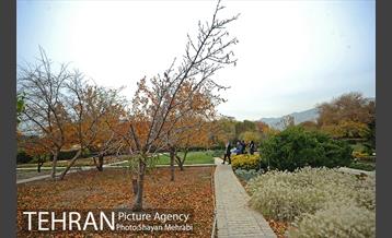 باغ گیاه‌شناسی ملی ایران 5