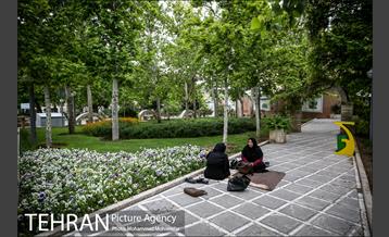 بوستان سیمرغ 9