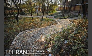 پاییز باغ ایرانی 33