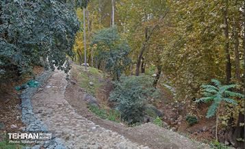 ­اکوپارک رود دره فرحزاد 63