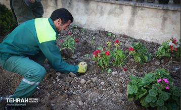 طرح بهار جان‌ها در منطقه 8 21
