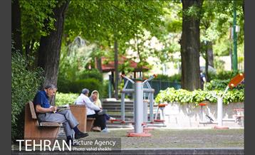 بوستان نیاوران 11