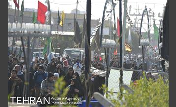 حضور دکتر قالیباف در پیاده‌روی اربعین، از نجف تا کربلا 3