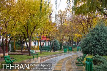 پاییز در بوستان المهدی(عج) 32