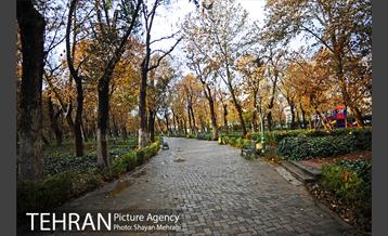 پاییز در پارک شهر 4