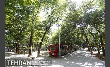 بوستان قیطریه 5