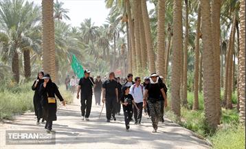 پیاده روی اربعین حسینی؛ طریق العلماء 2