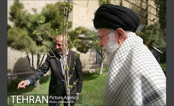 کاشت نهال توسط رهبر معظم انقلاب اسلامی 8
