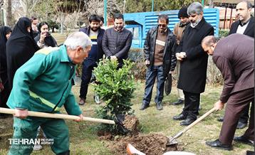 غرس ۱۱۰۰ نهال در منطقه ۱۱ 30