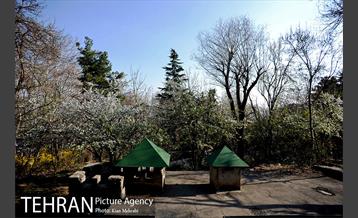 بوستان جمشیدیه (باغ سنگی جمشیدیه) 26