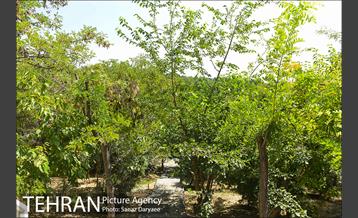 بوستان بهشت مادران 5