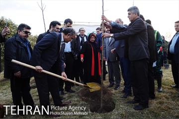 کاشت شش نهال درخت زیتون با حضور کارگرداران سینمای ایران 11