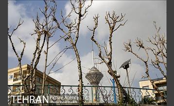 بوستان گفتگو 7