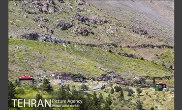 بوستان جنگلی کوهسار 3