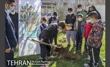 جشن نهال هاى کوچک شهر و تخم مرغ هاى رنگى در منطقه ٩