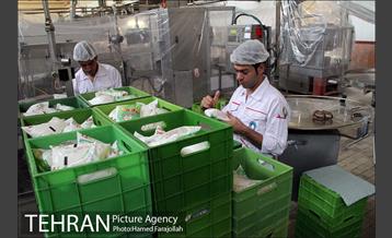 خط تولید شرکت صنایع شیر ایران 4